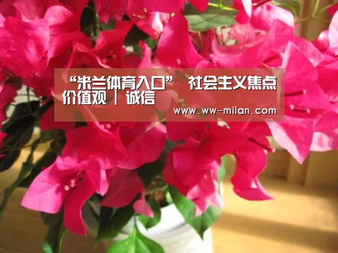“米兰体育入口”
社会主义焦点价值观 | 诚信(图4) “米兰体育入口”
社会主义焦点价值观 | 诚信(图4)