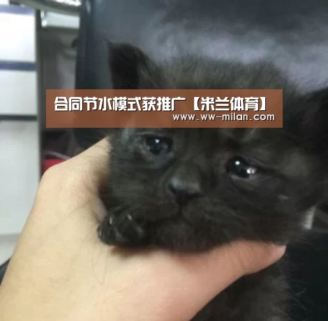 合同节水模式获推广【米兰体育】(图2) 合同节水模式获推广【米兰体育】(图2)