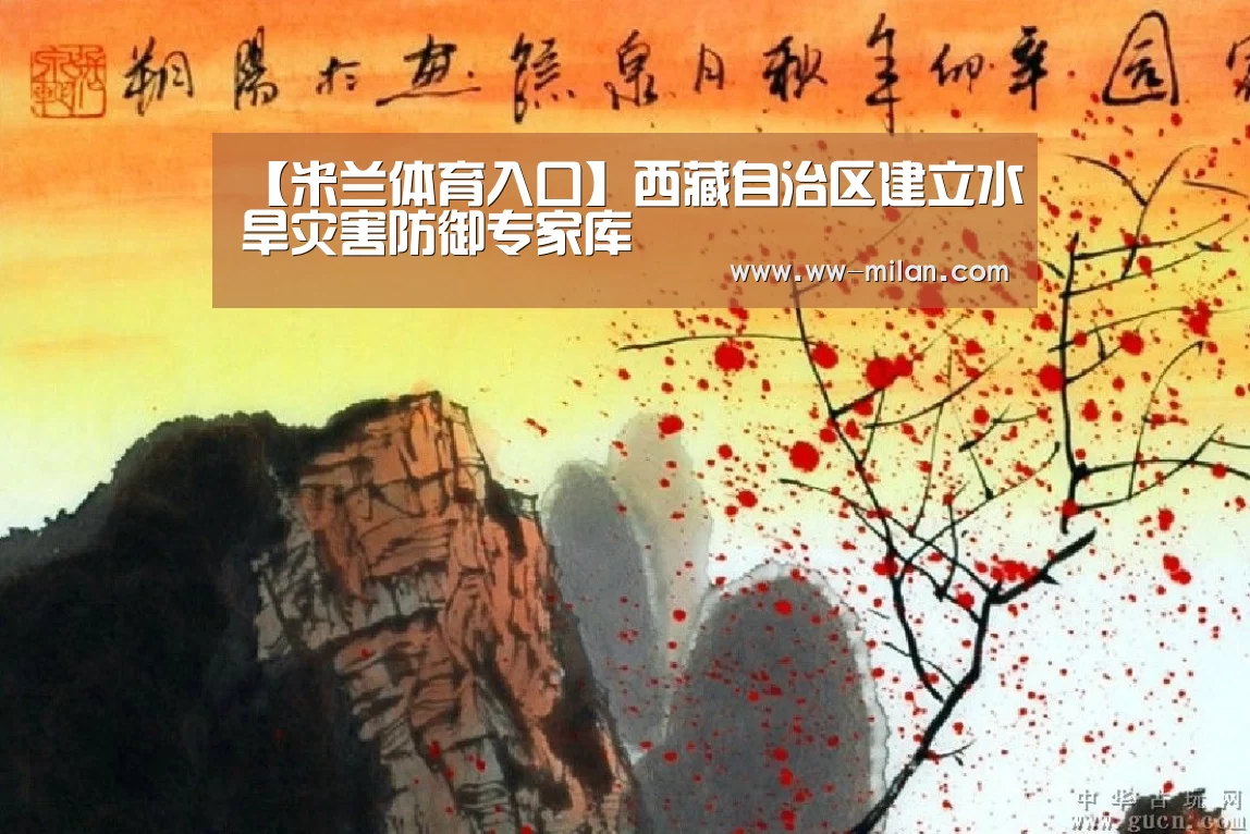 【米兰体育入口】西藏自治区建立水旱灾害防御专家库(图3) 米兰体育官网